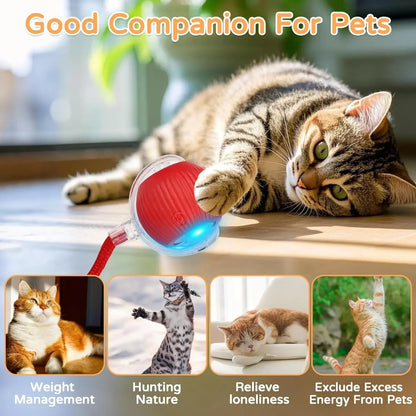 1/2 PCS Cat Interactive Ball Toy Automatic Rolling Ball Faux Tail Rechargeable Smart Pet Electric Toy Pet Toy Imitate Mouse